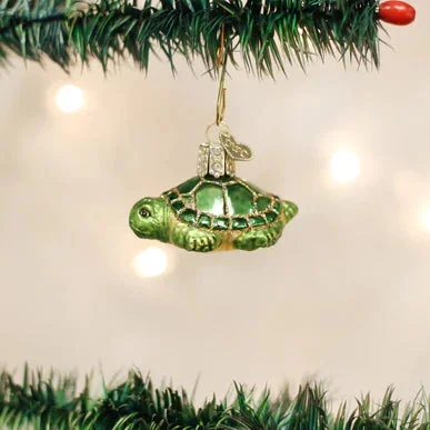 OWC – Small Turtle