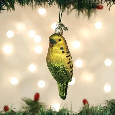 OWC-Miniature Parakeet