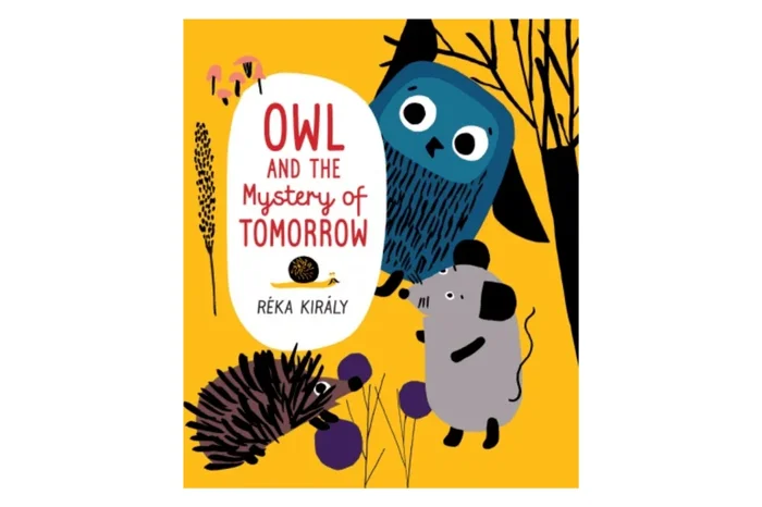 Owl and the Mystery of Tomorrow: A Book To Help Children Understand Time