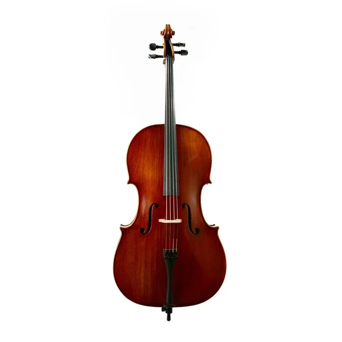 Paolo Lorenzo Cello