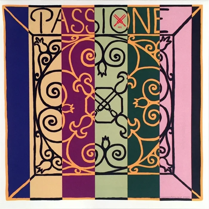 Passione Solo Violin Set, Gut