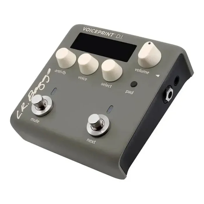 Pédale à réponse impulsionnelle LR Baggs Voiceprint DI