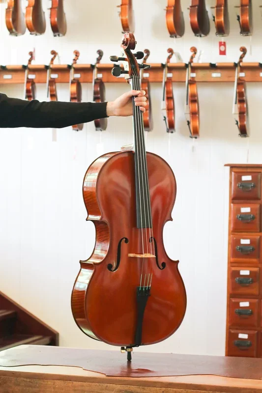 Pierre Marcel Deluxe Cello (Belgium) 4/4