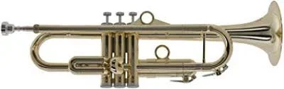 pInstruments Trumpet – Standard (PTRUMPET1HTG/GOLD)