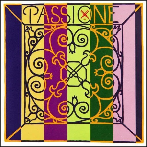 Pirastro Passione Violin G String 4/4
