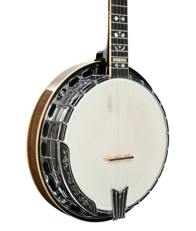 Pre-Owned Gold Tone OB-250+ Banjo w/ Hardshell Case | Used