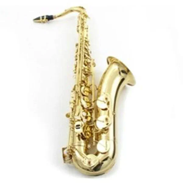 Prelude by Selmer TS700 Professional Tenor Saxophone