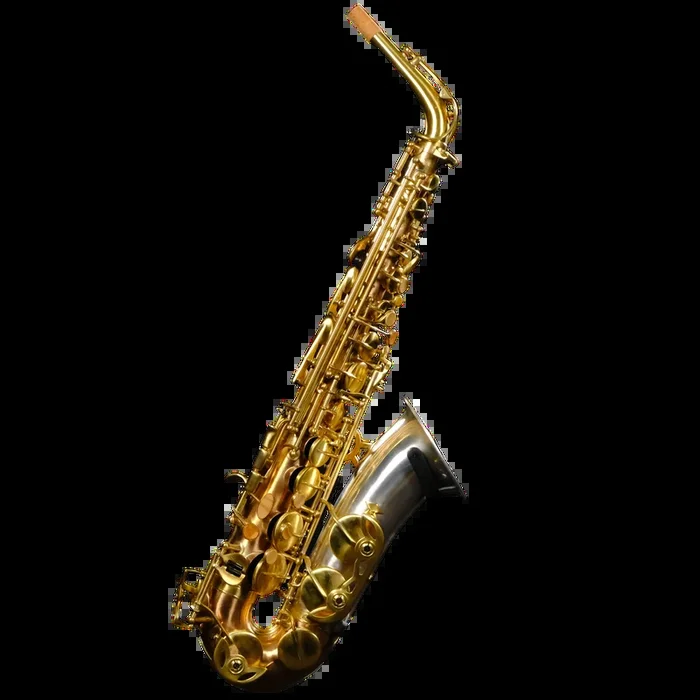 Rampone & Cazzani Two Voices Alto Saxophone (Solid Sterling Silver & Bronze) – 2006/TV/BRS