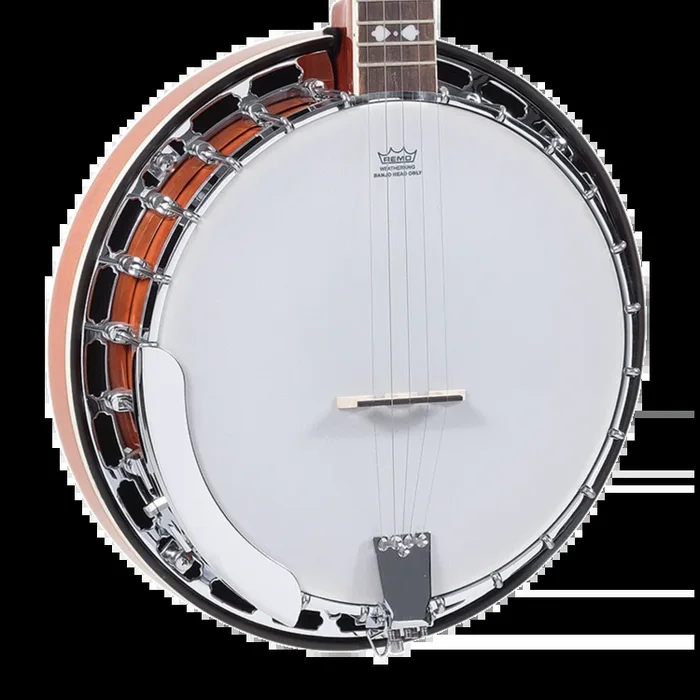 Recording King Songster Resonator Banjo