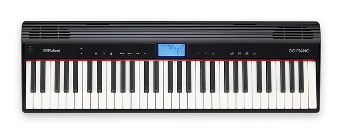 Roland GO:PIANO 61-key Portable Piano – GO-61P