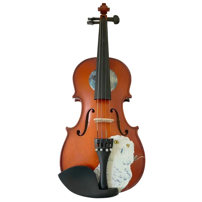 Rozanna’s Violins Mystic Owl Violin Outfit