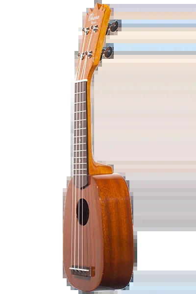 Short Scale Sopranissimo Series TTPK-25G