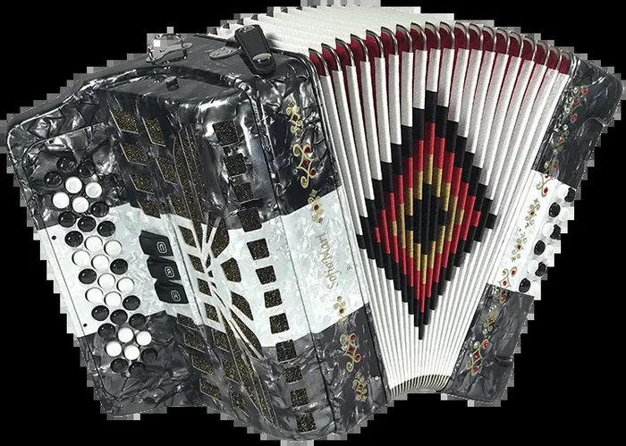 Sofiamari NSM-3412 34-Button 12-Bass Accordion FBE Gray White Gray