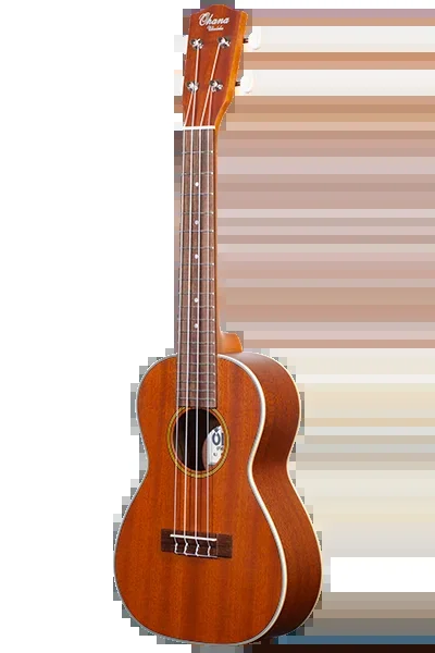 Solid Top 20 Series Concert CK-20