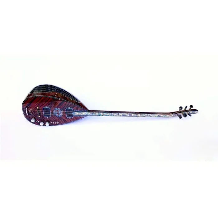 Special Electric Baglama Saz SES-208B