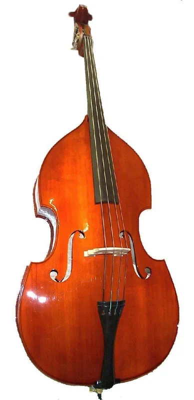 Standard Double Bass
