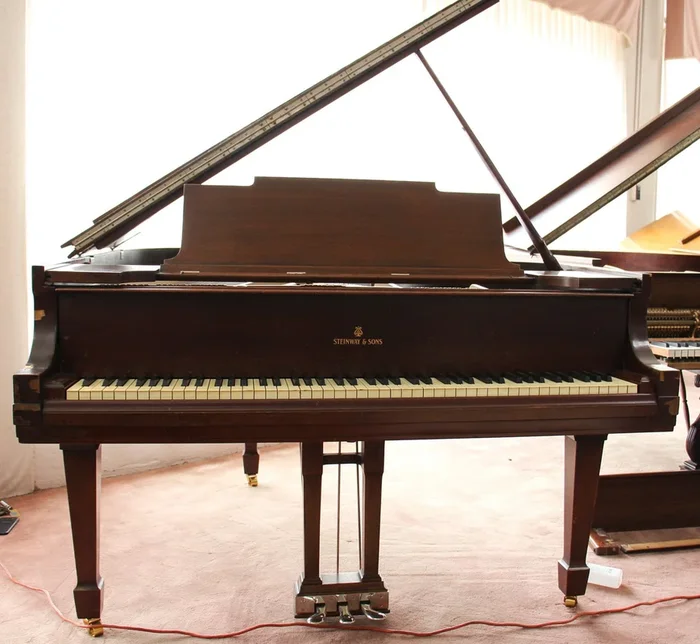 Steinway & Sons 5’7″ Model M Grand Piano Rosewood | SN: 231706 | Used