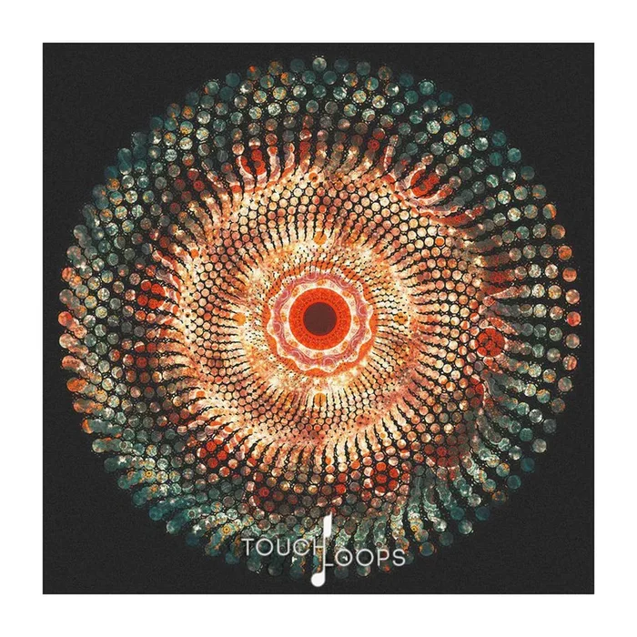 Touch Loops Cyclic Beats Sample Pack