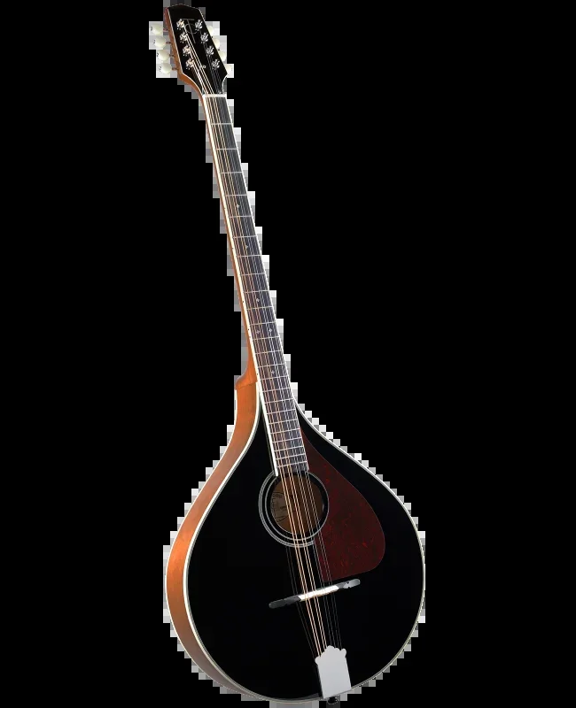 Trinity College TM-375B Bouzouki, Black top