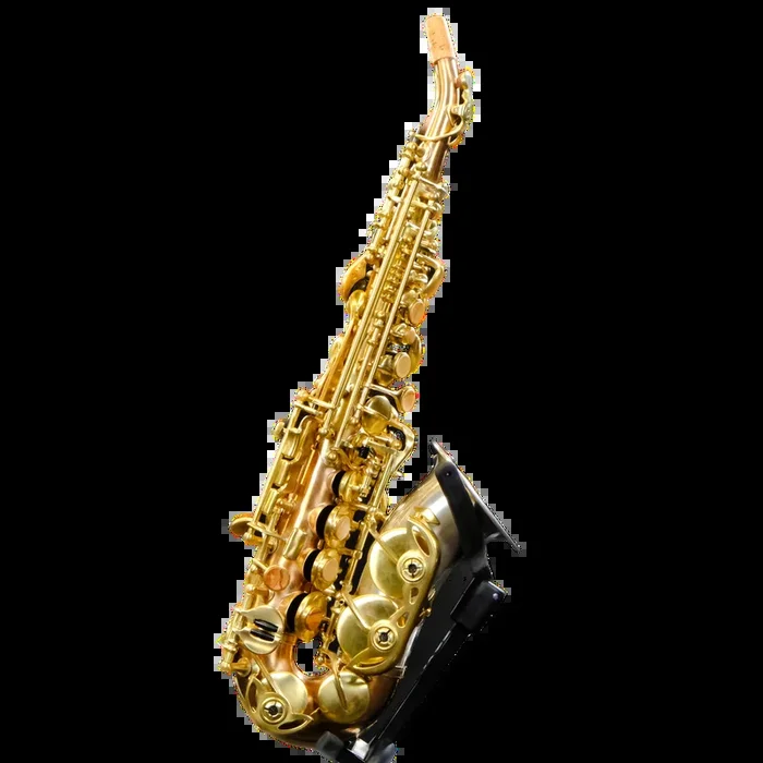 Two Voices Curved Soprano Saxophone – Bronze 2004/TV/BRS