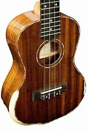 Ukulele Barnes & Mullins Concert Ukulele BMUK5C High Gloss Walnut