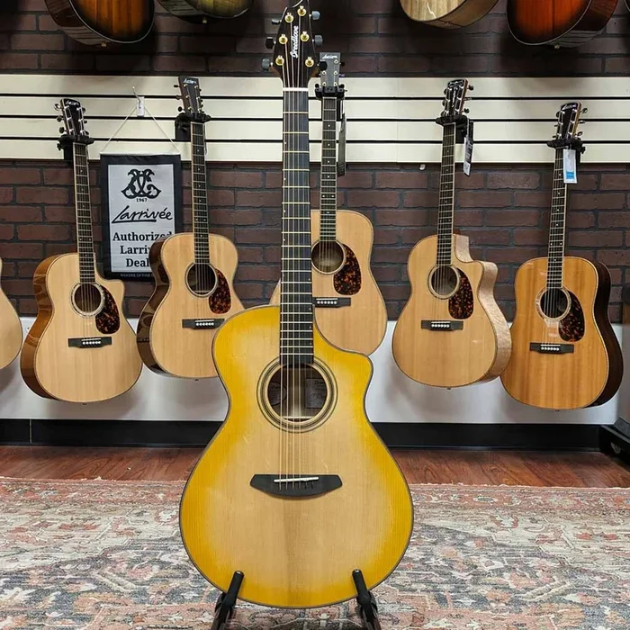 Used Breedlove Organic Artista Acoustic Electric Guitar