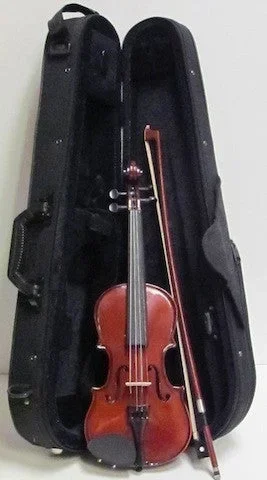 Violin – 1/8 Size Palatino VN-450 Allegro Outfit (Includes Bow and Case)