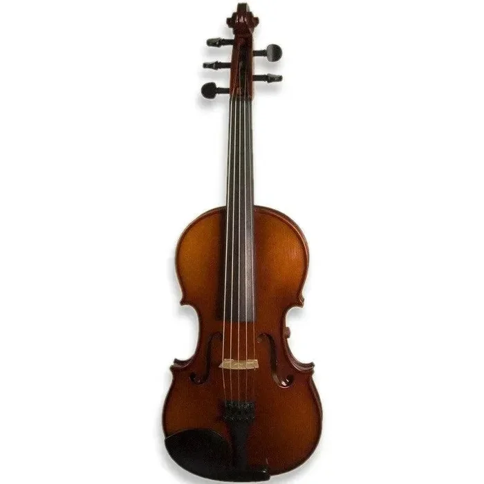Violon électro-acoustique réaliste RV-5e