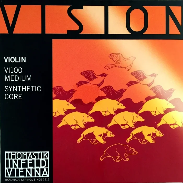 Vision Violin set VI100
