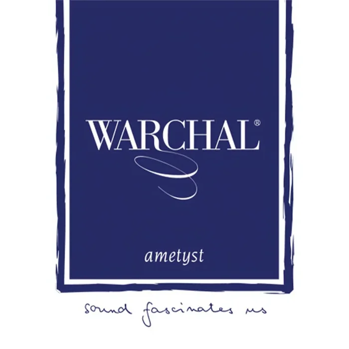 Warchal Ametyst Violin D String