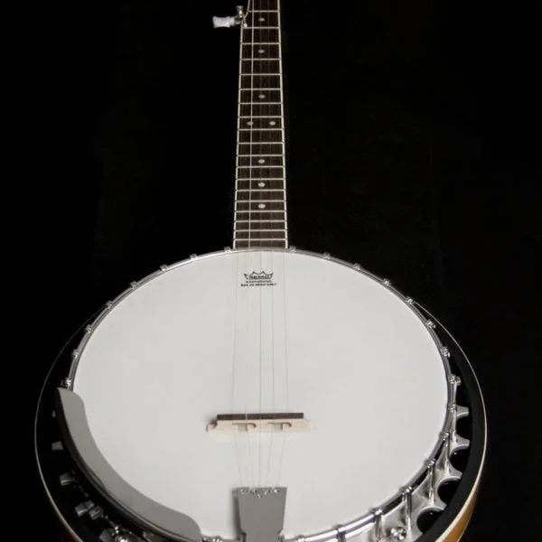 Washburn Americana B9 Series 5-String Banjo, Sunburst