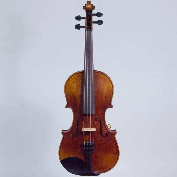 Wood Violins Concert Deluxe acoustic-electric violin